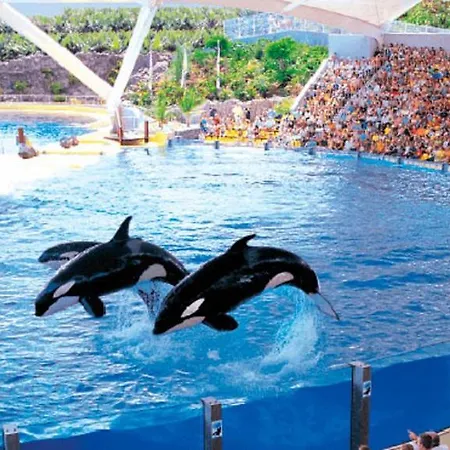 Near To The Ocean In Touristic Center Zone Appartement Playa Feñabe