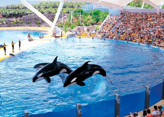 Near To The Ocean In Touristic Center Zone Appartement Playa Feñabe